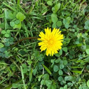 Meet your Posher, Sahily